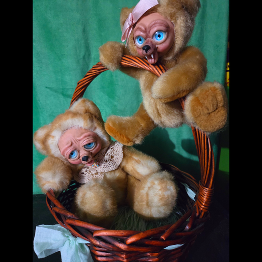 Momma and Baby Bear in a Basket