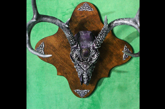 Purple Deer Skull Mount!