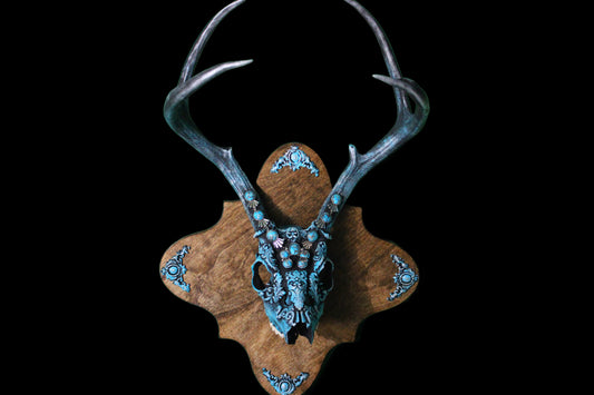 Turquois Deer Skull Mount!