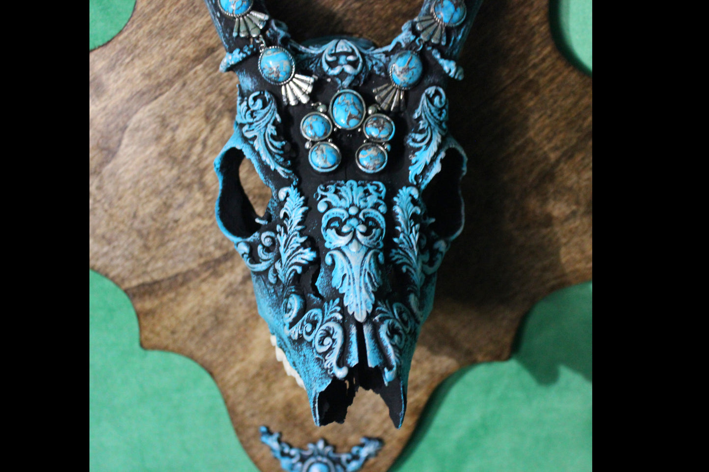 Turquois Deer Skull Mount!