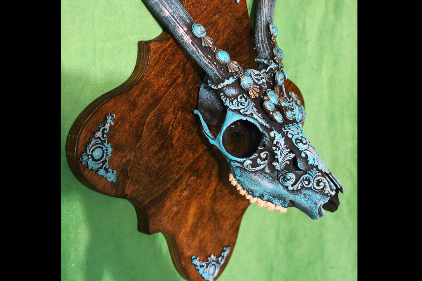 Turquois Deer Skull Mount!